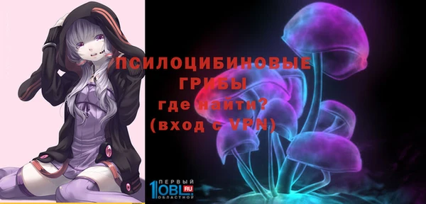 ешки Инта