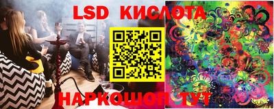 spice Рыбинск