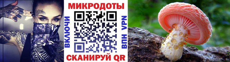Псилоцибиновые грибы Cubensis Краснокамск